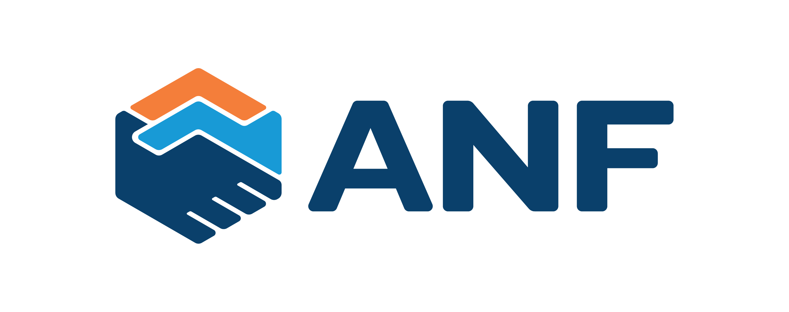 American Nicaraguan Foundation (ANF)