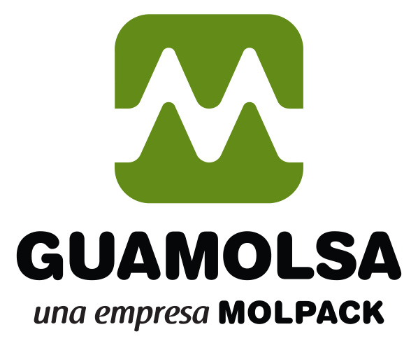 Guatemala de Moldeados S.A. (Guamolsa)