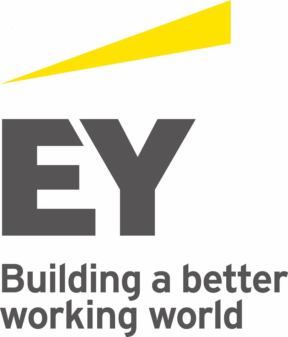 EY job