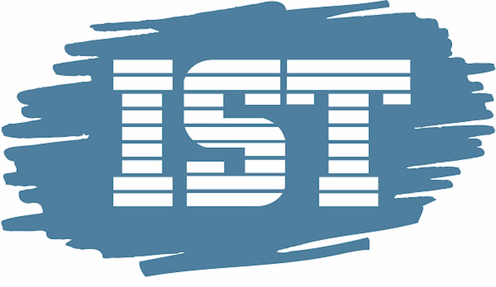 IST Group job