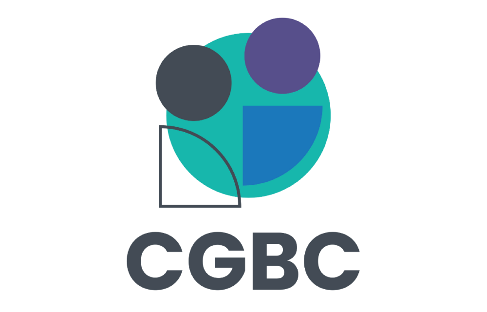 CG Business Consulting