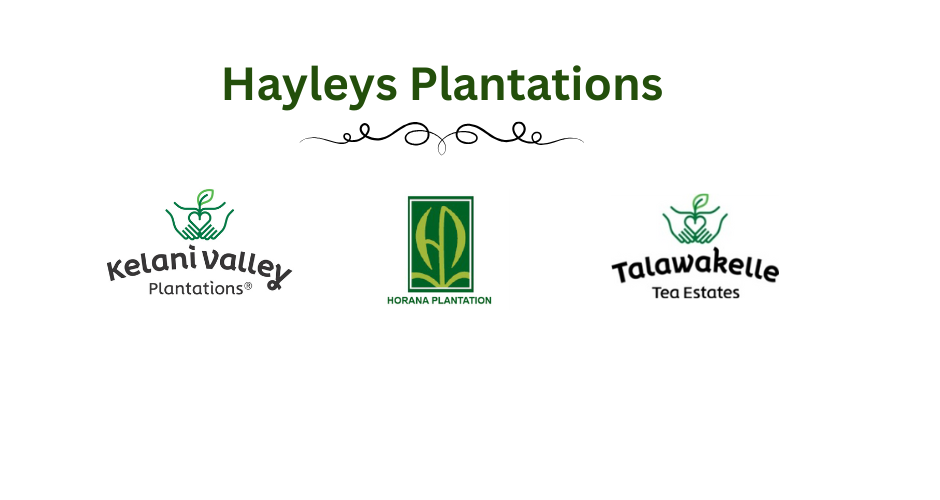 Hayleys Plantations