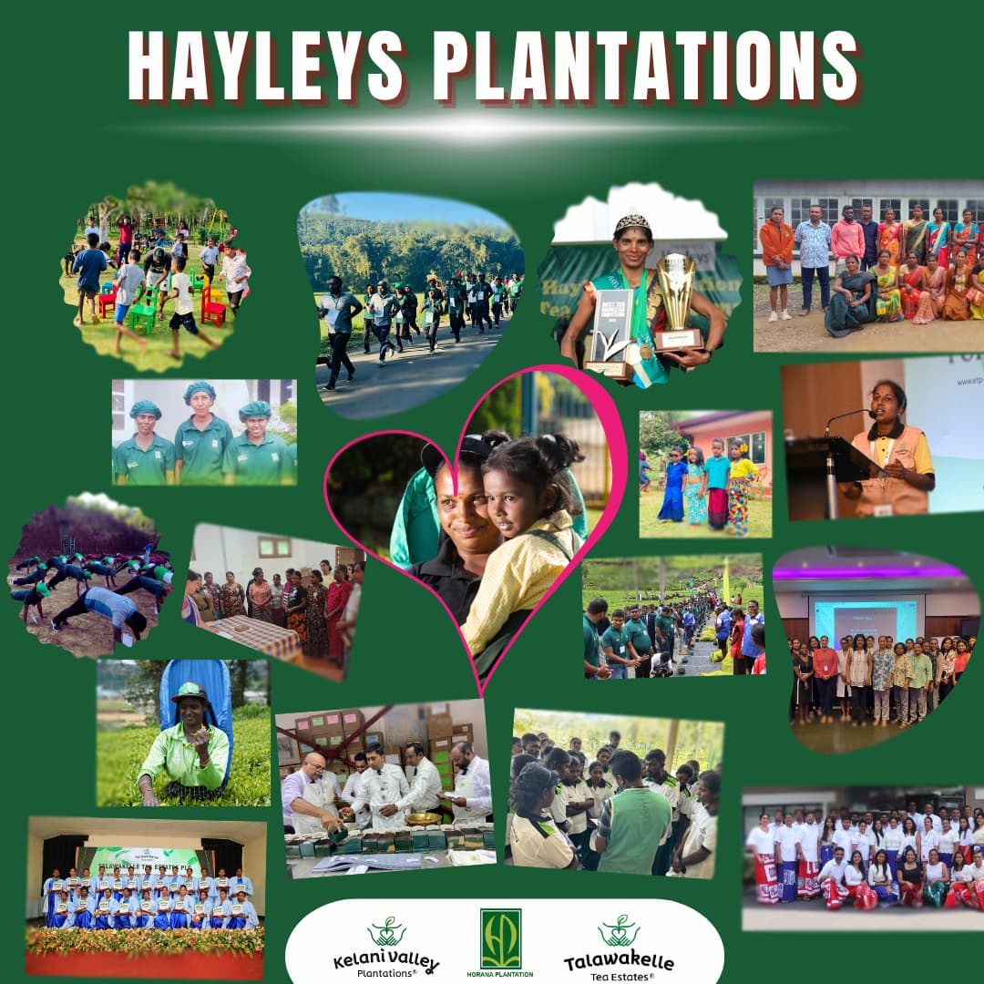 Hayleys Plantations
