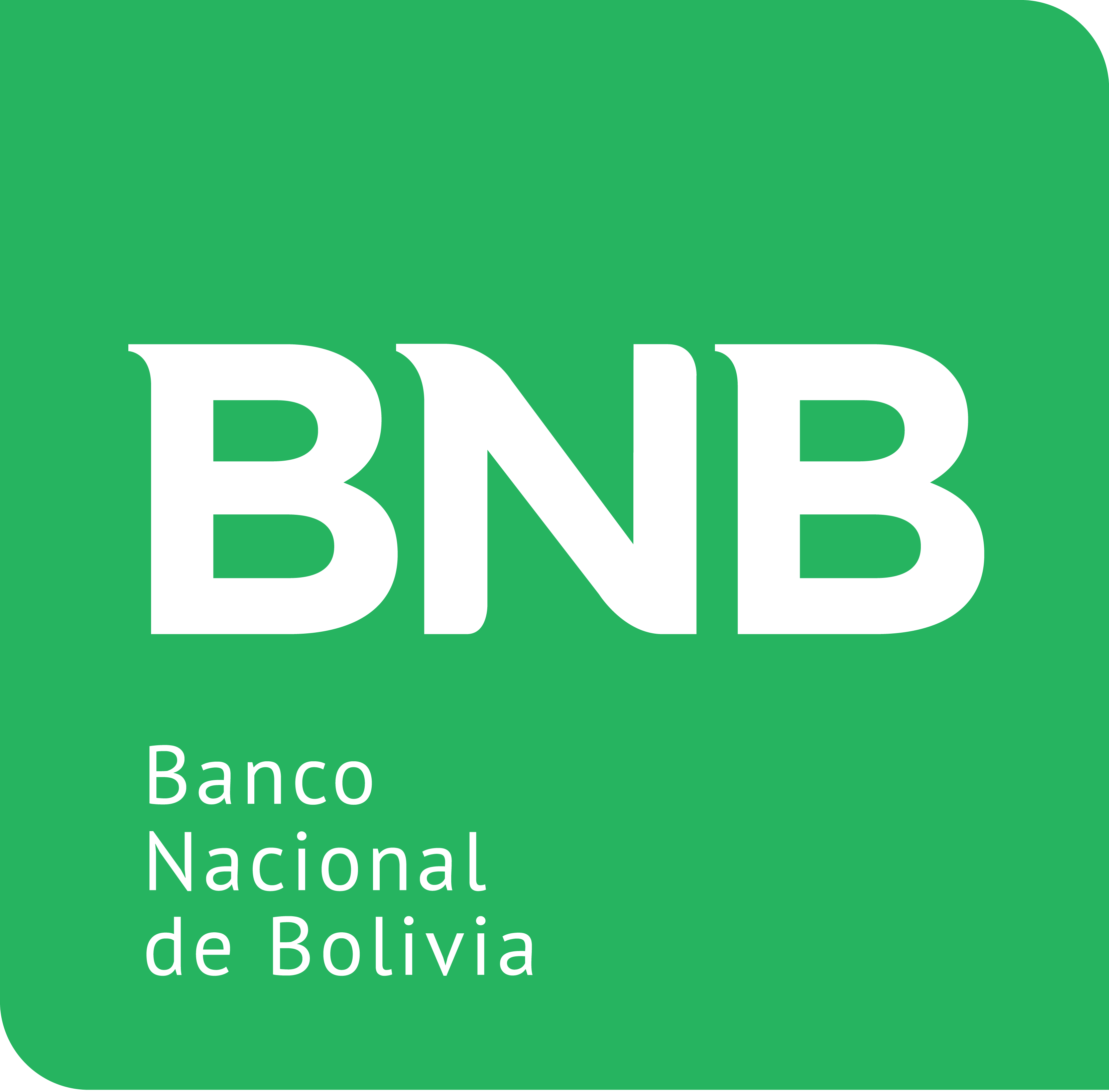 Banco Nacional de Bolivia S.A.