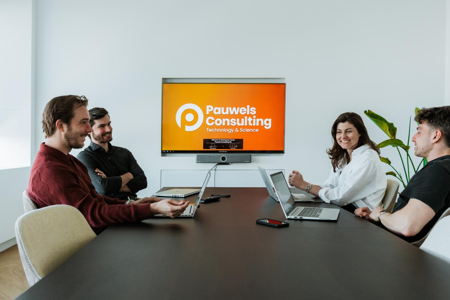 Pauwels Consulting