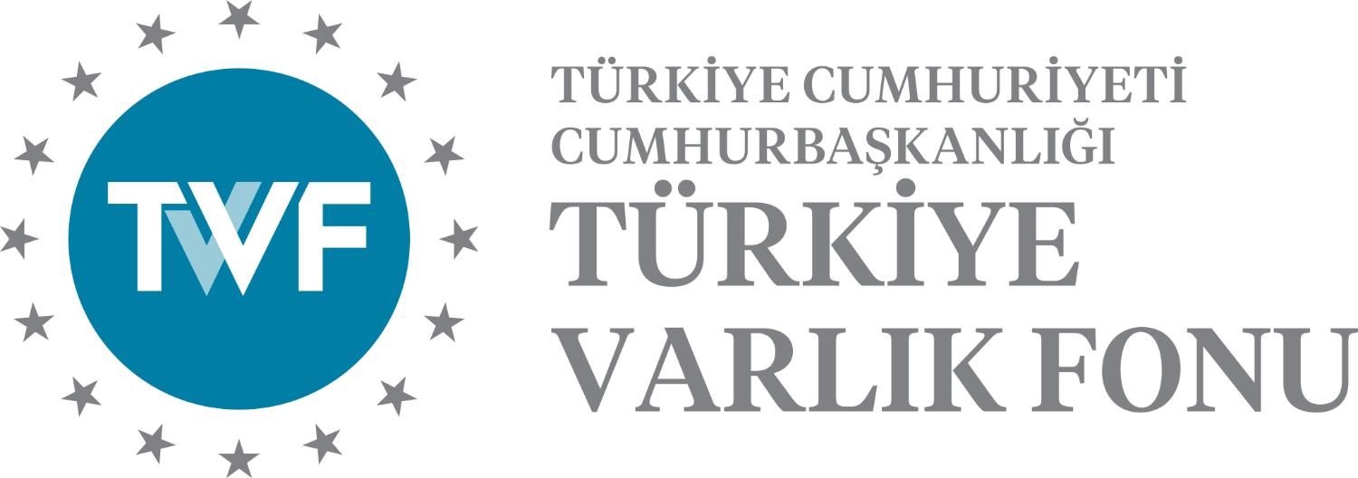 Türkiye Wealth Fund